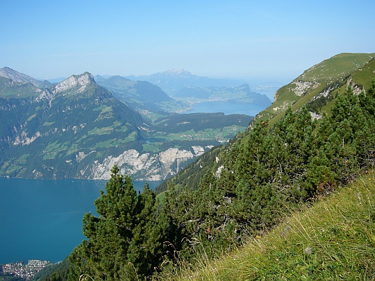 Blick auf den Vierwaldstättersee