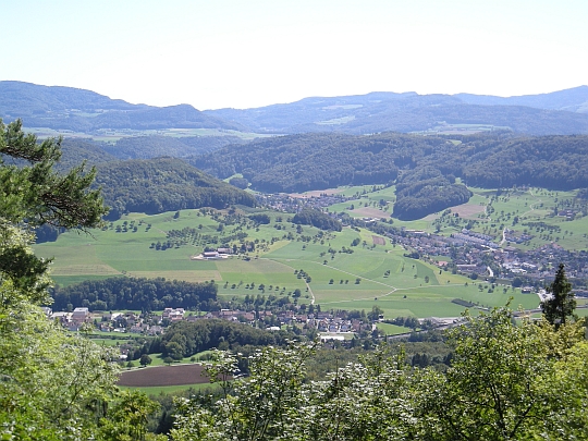 boeckterflue