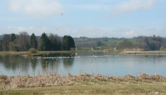 Flachsee bei Unterlunkhofen