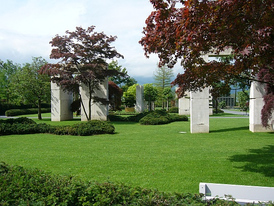 Im Enea-Baummuseum Im Enea-Baummuseum
