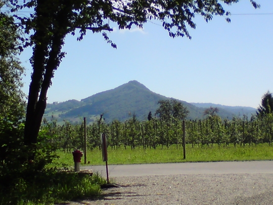Blick von der Baldegg auf die Lägern Blick von der Baldegg auf die Lägern