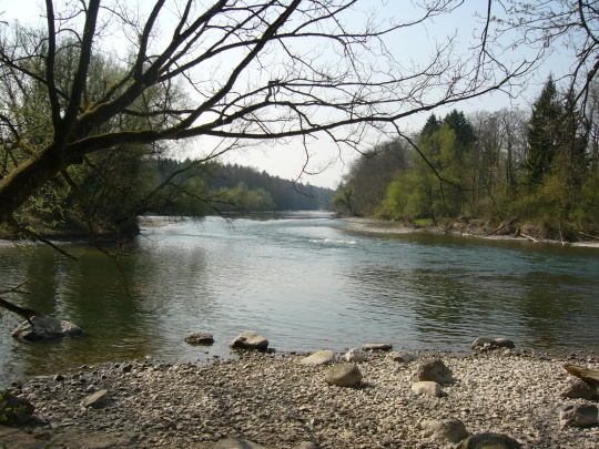 An der Reuss in der Nähe von Mellingen