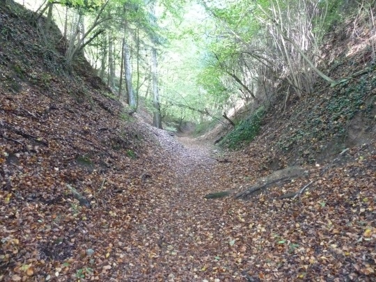 Hohlweg