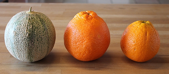Oranger Riese