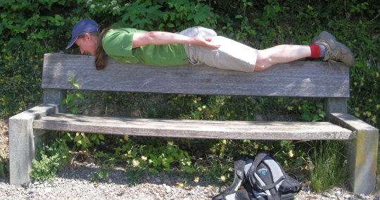 Brige Planking