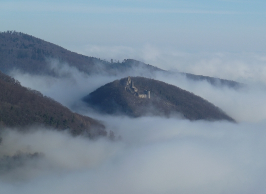 Ruine Schenkenberg im Nebel