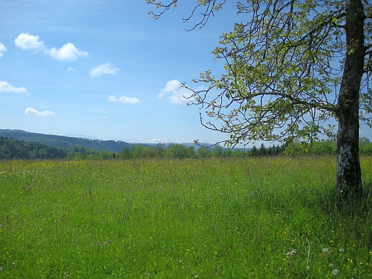 Bei Gränichen