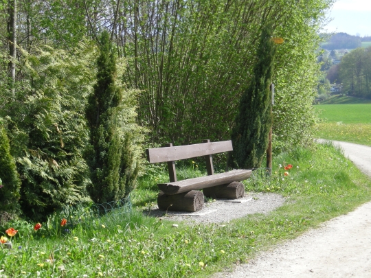 Znünibänkli Znünibänkli