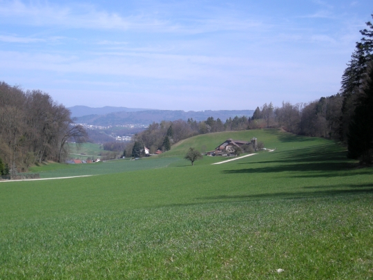 Berg, Mägenwil-Eckwil