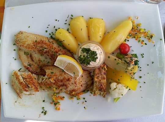 Zanderfilets Zanderfilets