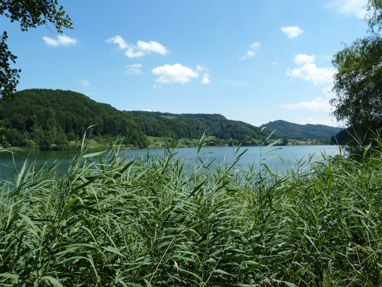 Türlersee