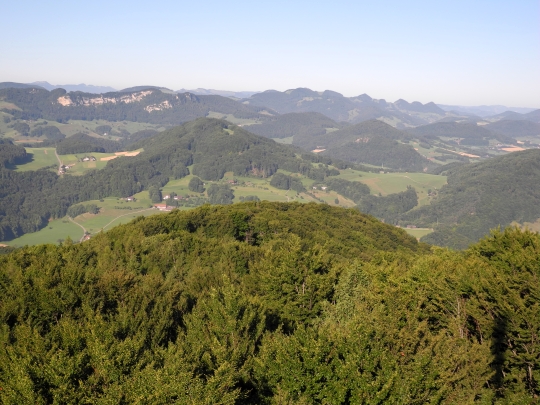 Blick vom Wisenbergturm