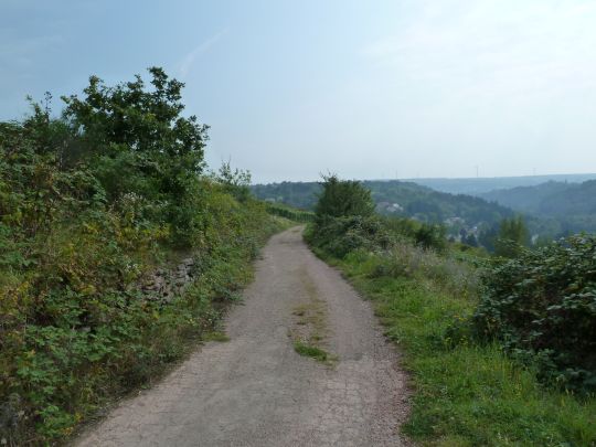 P1050623-08-weinberg