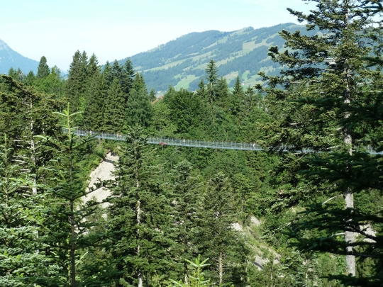 Die Hängebrücke bzw. der Skywalk; ein Knaller!