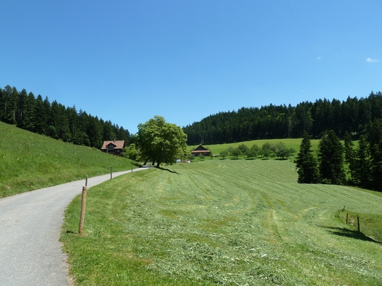 Blick zurück nach Hintertann.