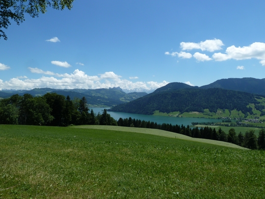 Der Aussichtspunkt 979 zwischen Hinderwiden und Widen; unten sieht man Unterägeri.