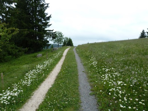 Das haben wir auch noch nicht gesehen: Fahrspuren mit unterschiedlichem Kies.