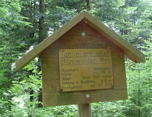 Hier die Tannendaten. Was sind eigentlich "Efm"?