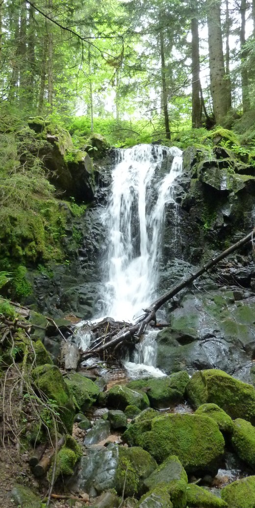 Der Windbergwasserfall.