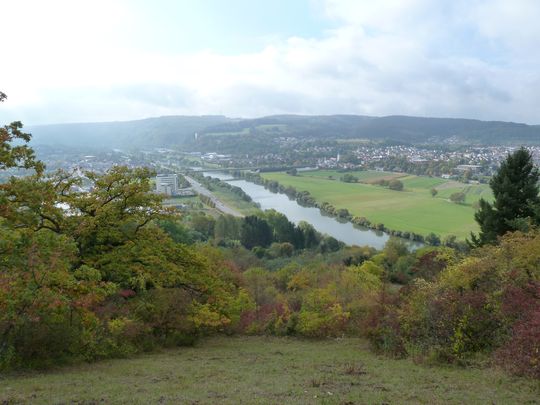 Blick auf den Neckar (1).
