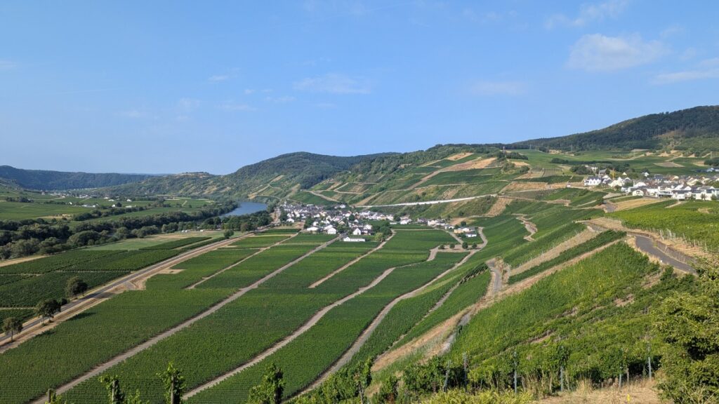 Blick von der Monzeler Terrasse ins Moseltal.